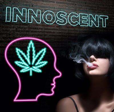 INNOSCENT - What's on your mind!